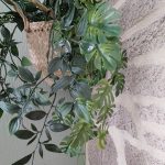 IMG_20251010_111338