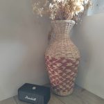 IMG_20251104_102112