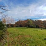 IMG_20251104_105853