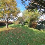 IMG_20251104_105911