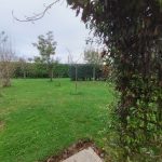 IMG_20251205_133622