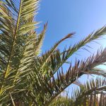 IMG_20260226_095446