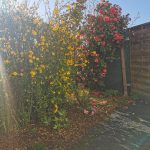 IMG_20260314_100258